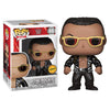 WWE - The Rock Pop Chase - 46