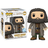 Harry Potter - Hagrid with Letter US Exclusive 6 Inch Pop - 164
