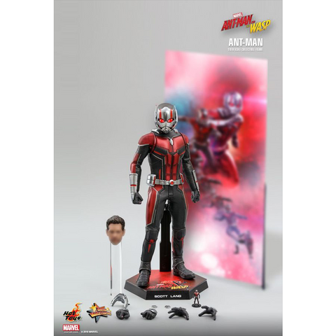 Image of Ant-Man and the Wasp - Ant-Man 16 Scale